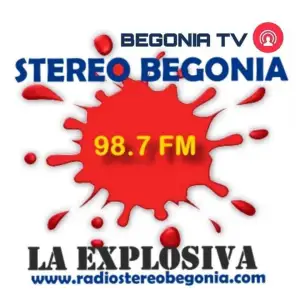 Stereo Begonia 98.7 FM